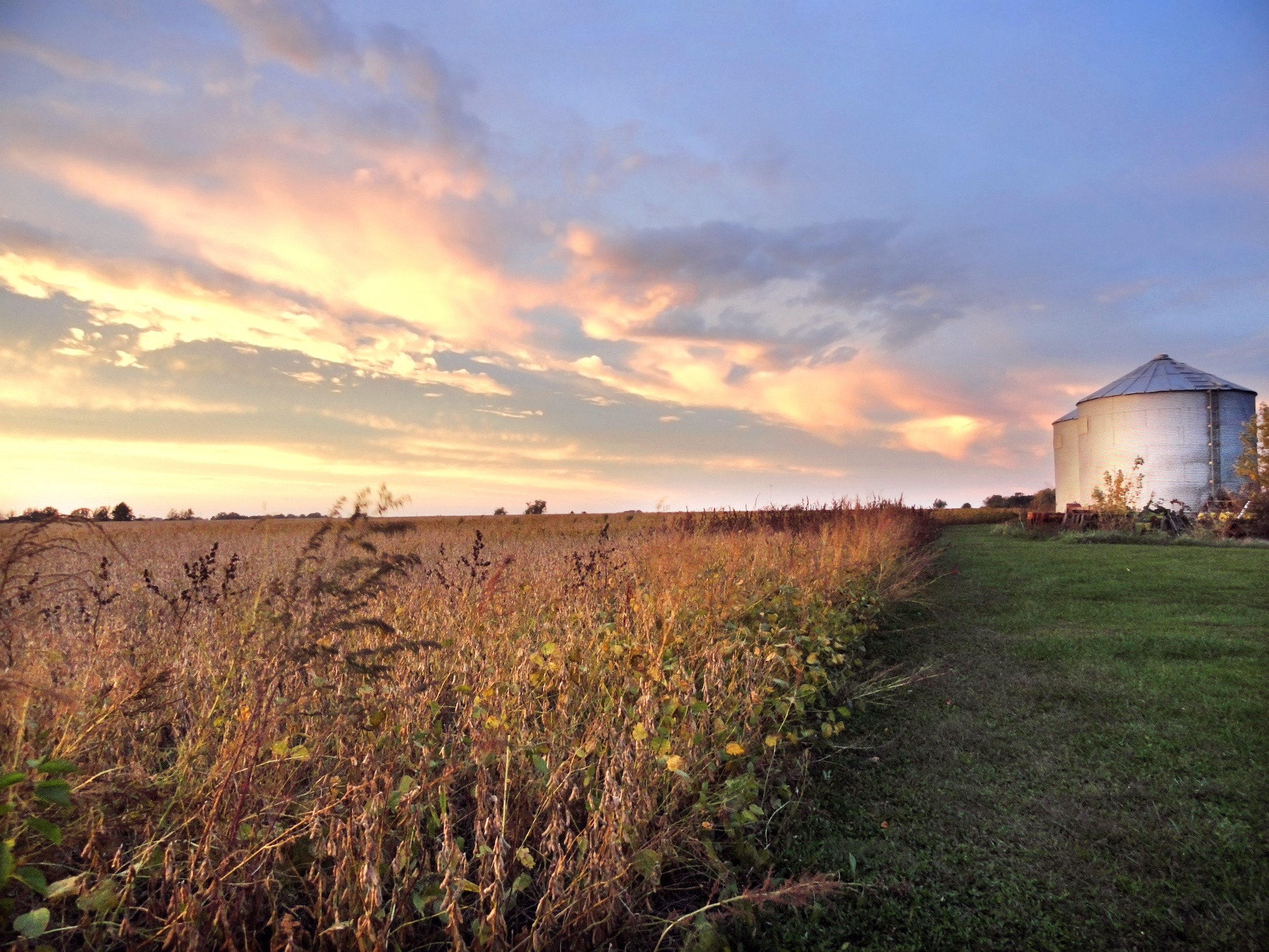 Medicare Advantage Enrollment In Rural America